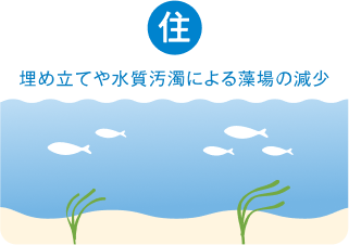 課題 住 埋め立てや水質汚濁による藻場の減少