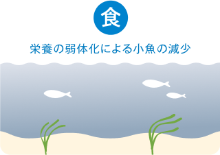 課題 食 栄養の弱体化による小魚の減少