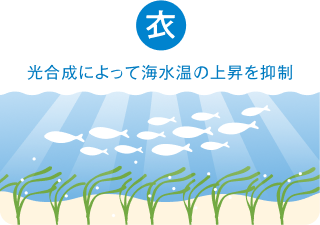 効果 衣 光合成によって海水温の上昇を抑制